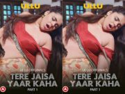 Tere Jaisa Yaar Kaha – Part 1 Episode 3